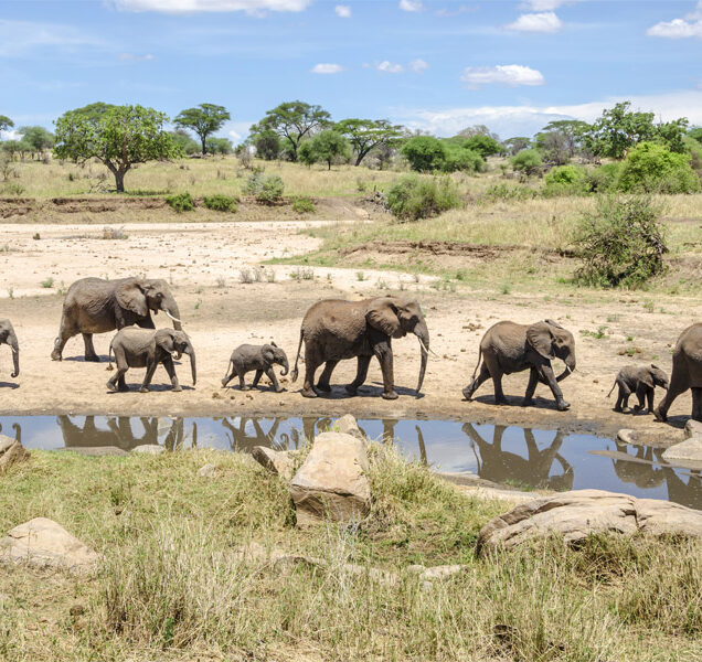 Tarangire National Park